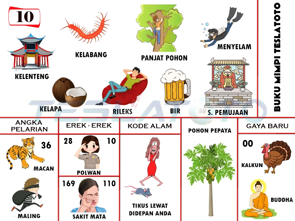 buku mimpi erek erek togel 10